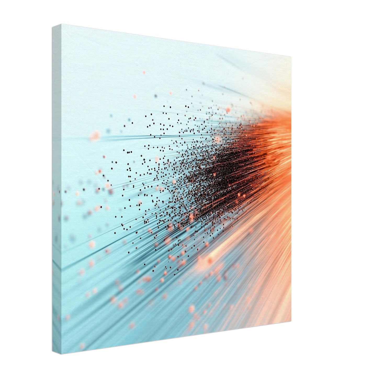 13870-cv-square-0.jpg