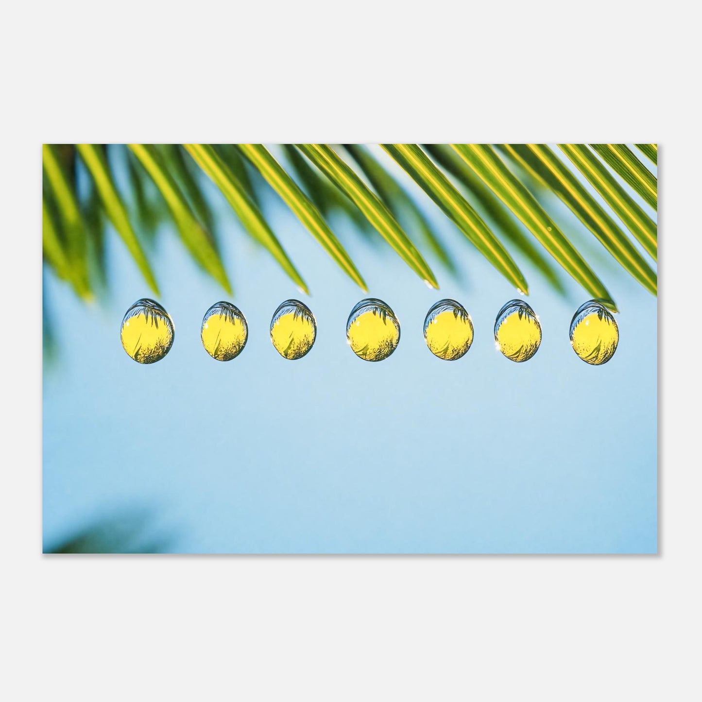 16383-product-3x2-0.jpg