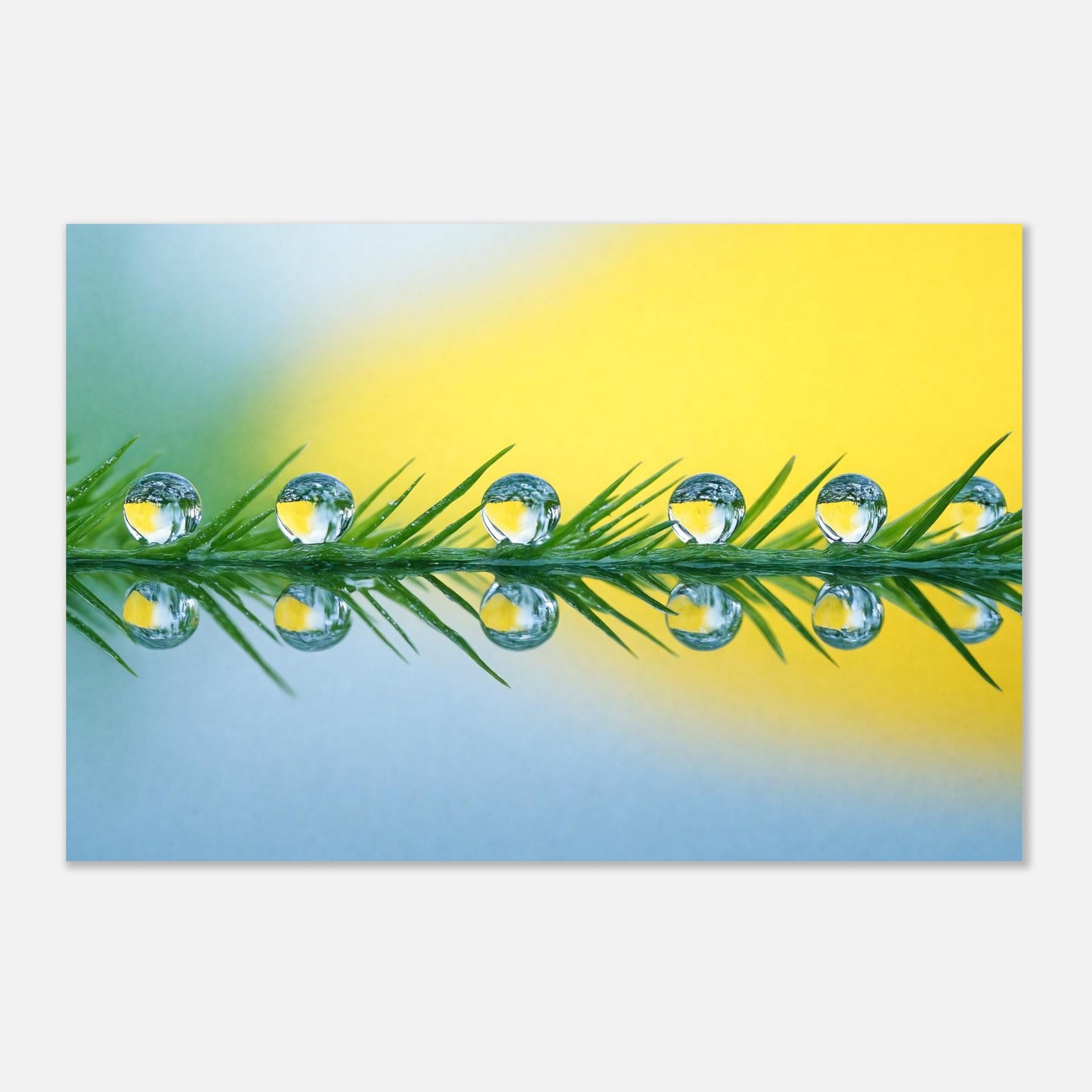 16384-product-3x2-0.jpg