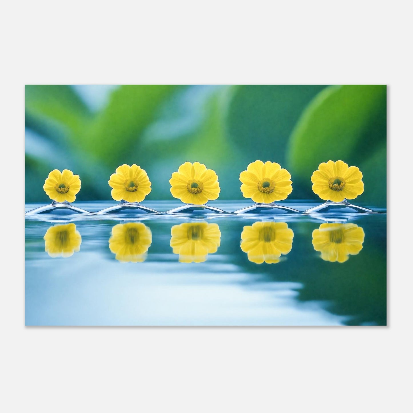 16385-product-3x2-0.jpg