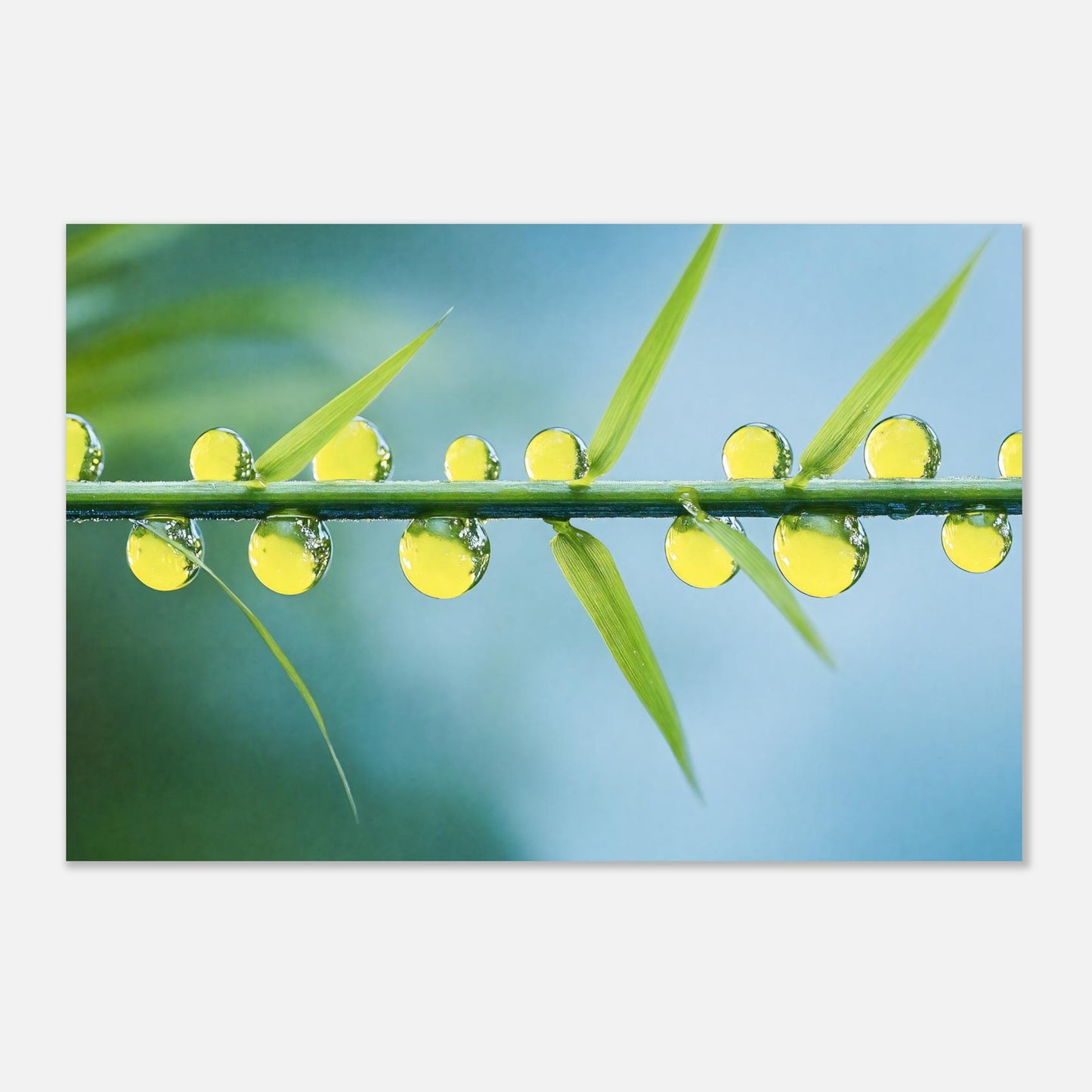 16391-product-3x2-0.jpg