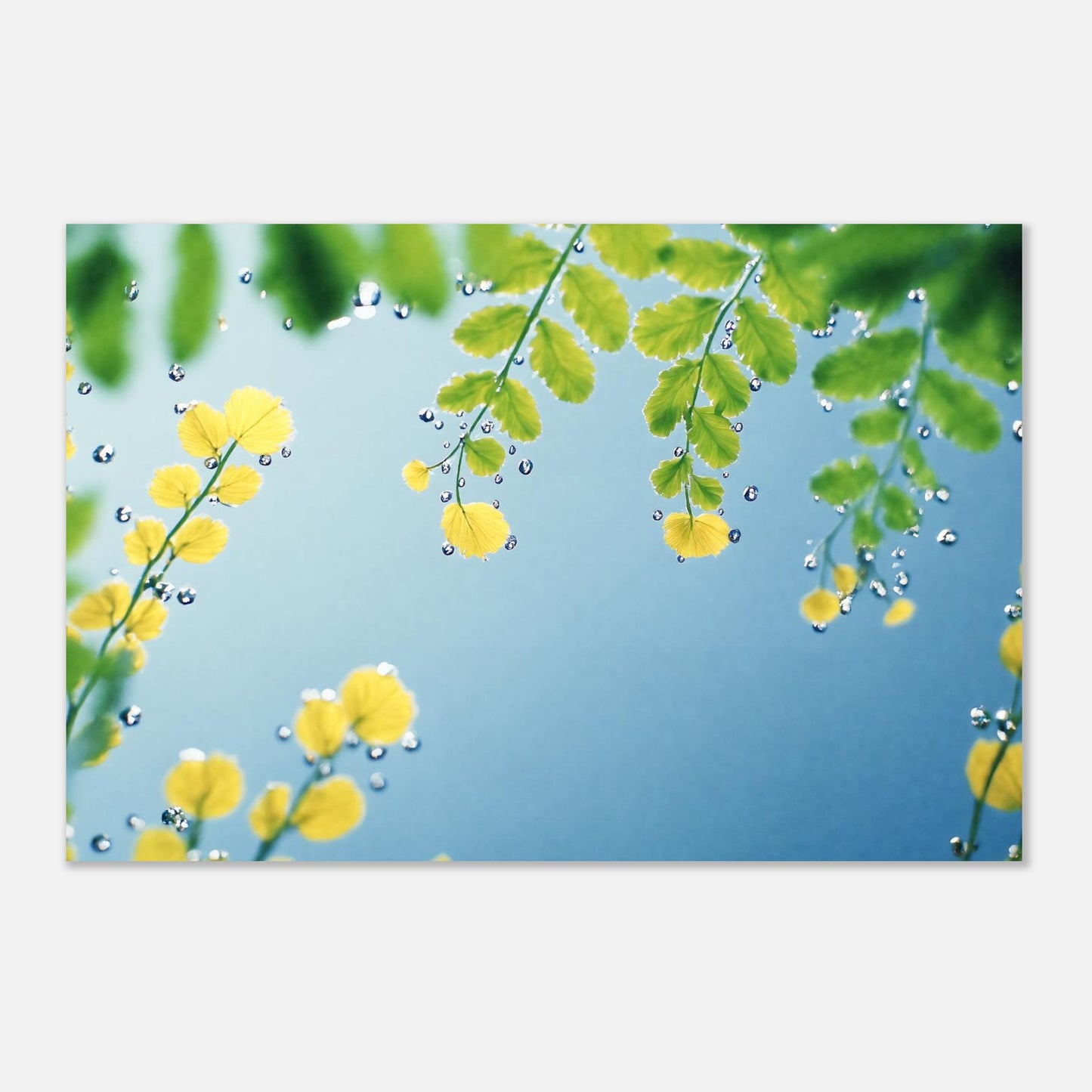 16392-product-3x2-0.jpg