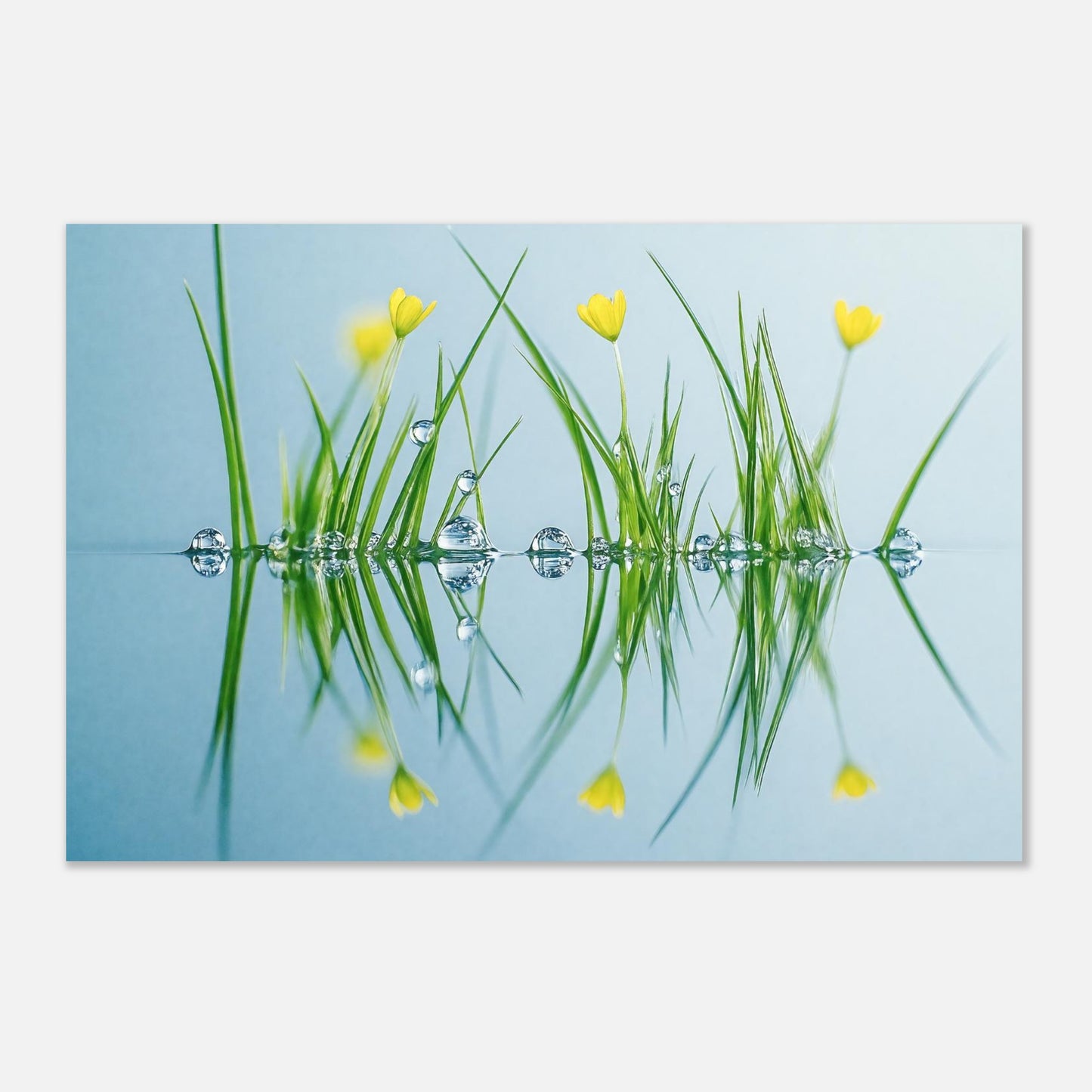 16394-product-3x2-0.jpg