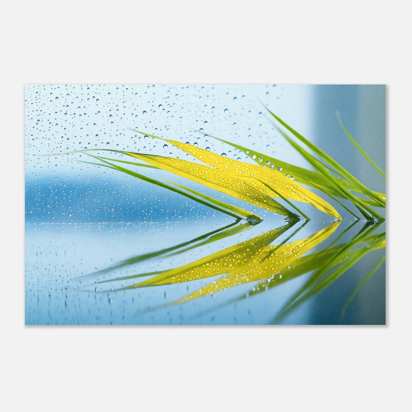 16396-product-3x2-0.jpg