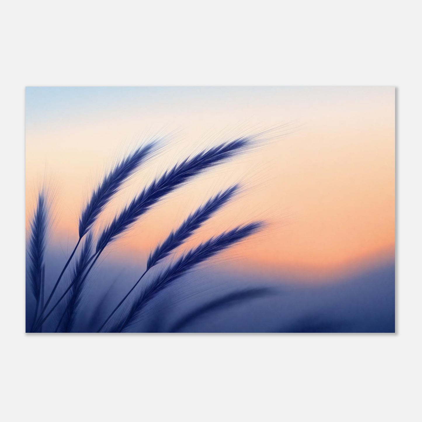 16430-product-3x2-0.jpg