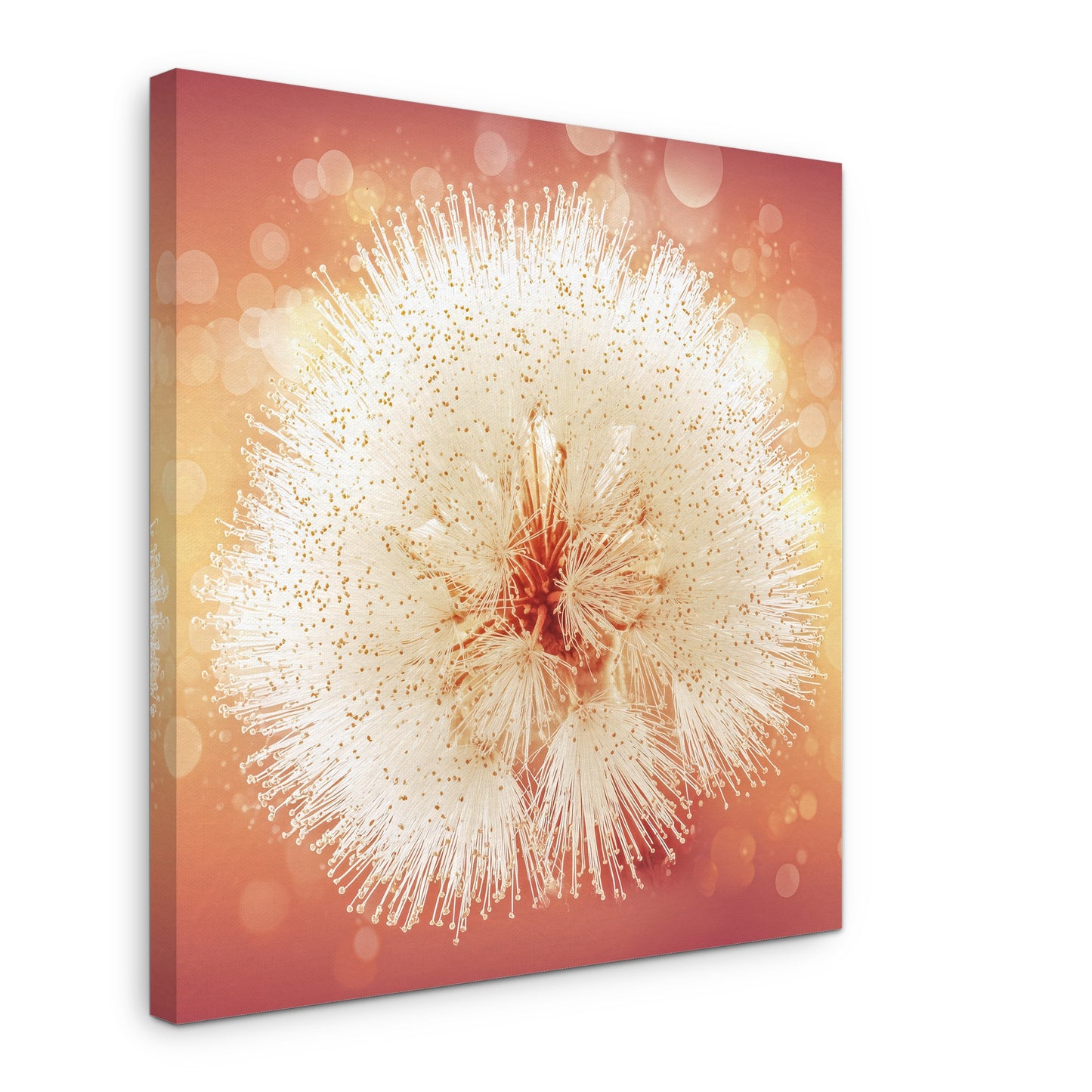 Sky Puff - Canvas print