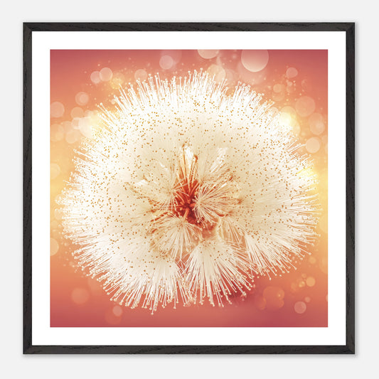 Sky Puff - Art print in black frame