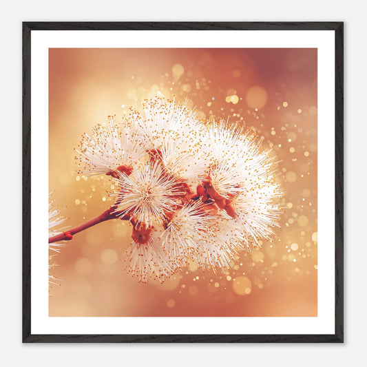 Air Blooms - Art print in black frame