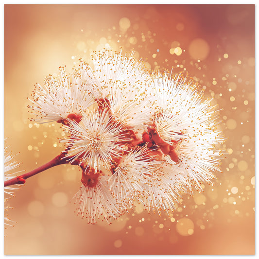 Air Blooms - Art print