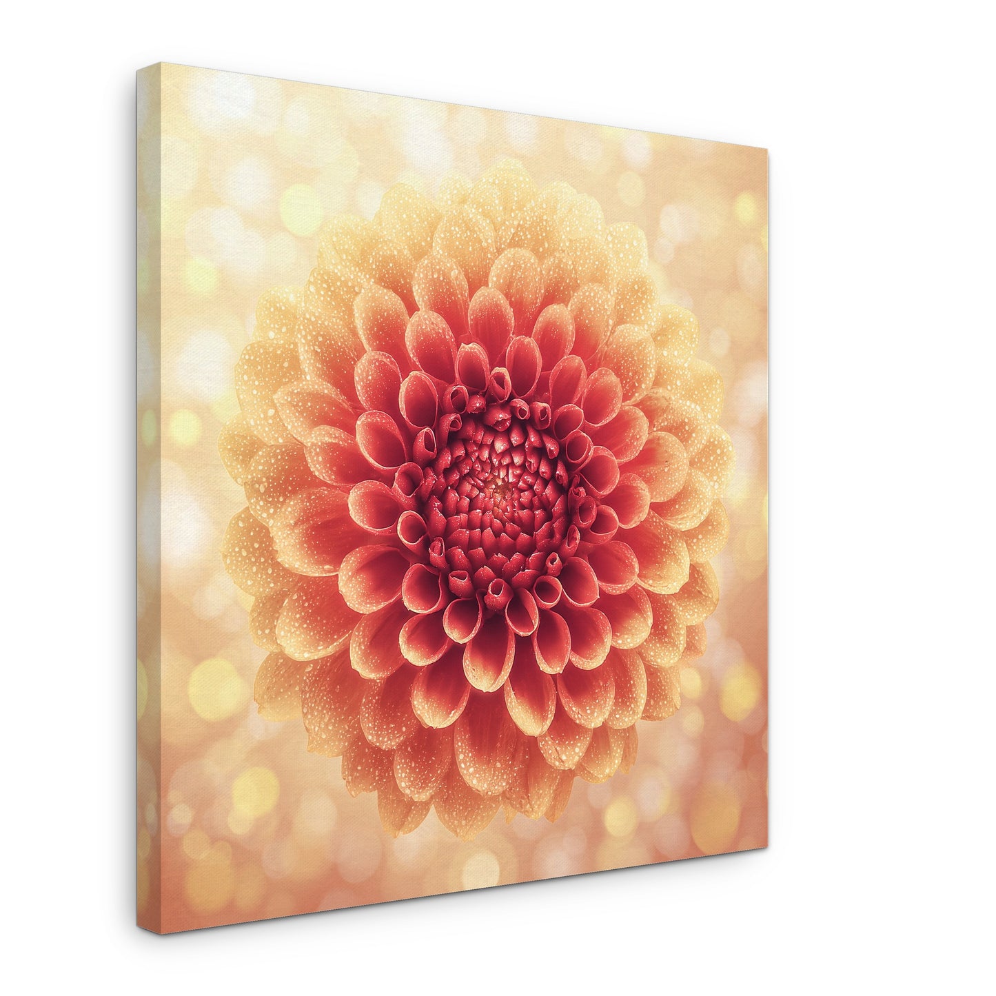 Full Circle - Canvas print