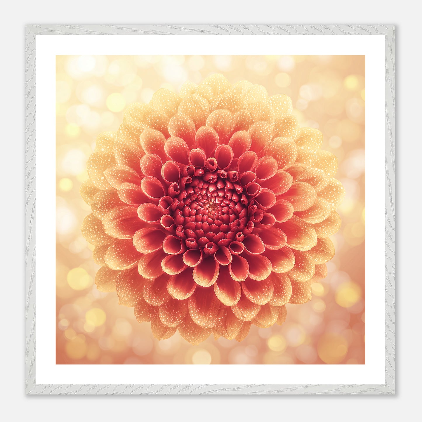 Full Circle - Art print in white frame