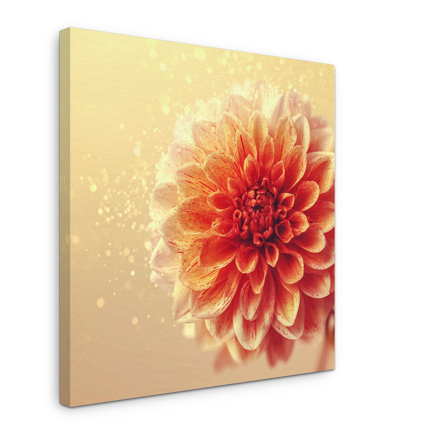 Sun Paint - Canvas print