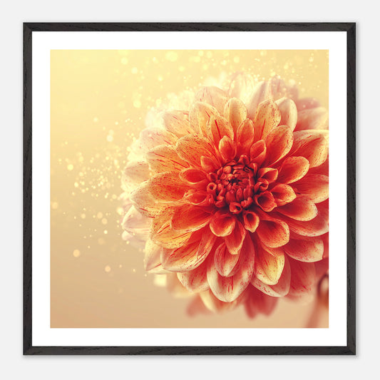 Sun Paint - Art print in black frame
