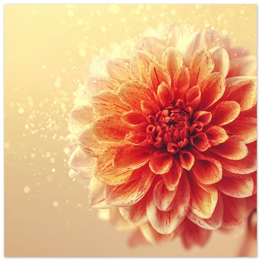 Sun Paint - Art print