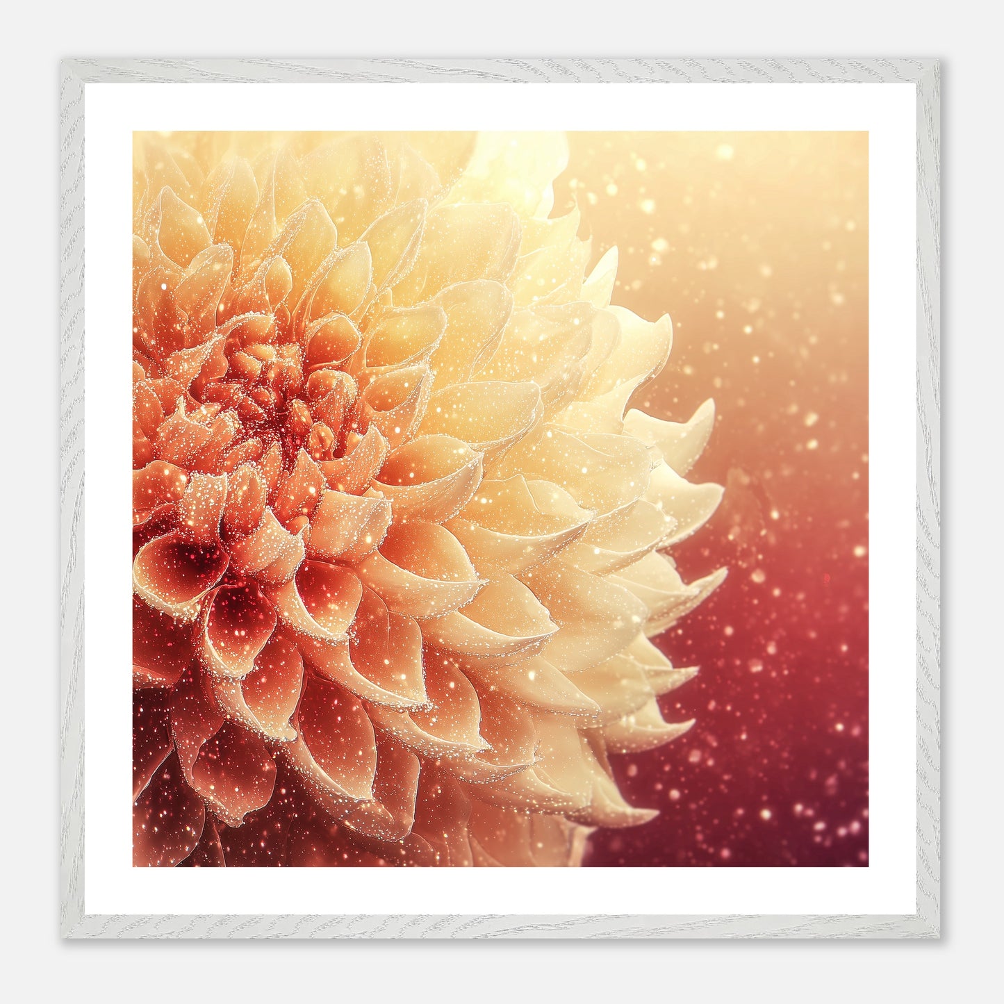 Petal Shimmer - Art print in white frame