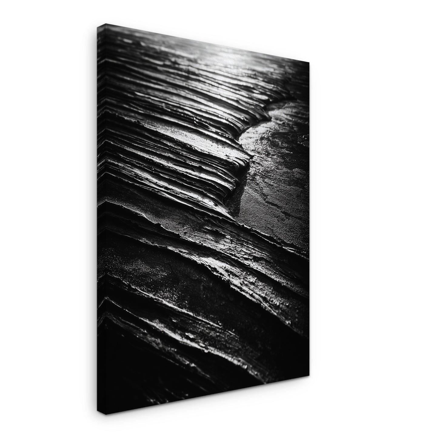 Scarred Plain - Canvas print