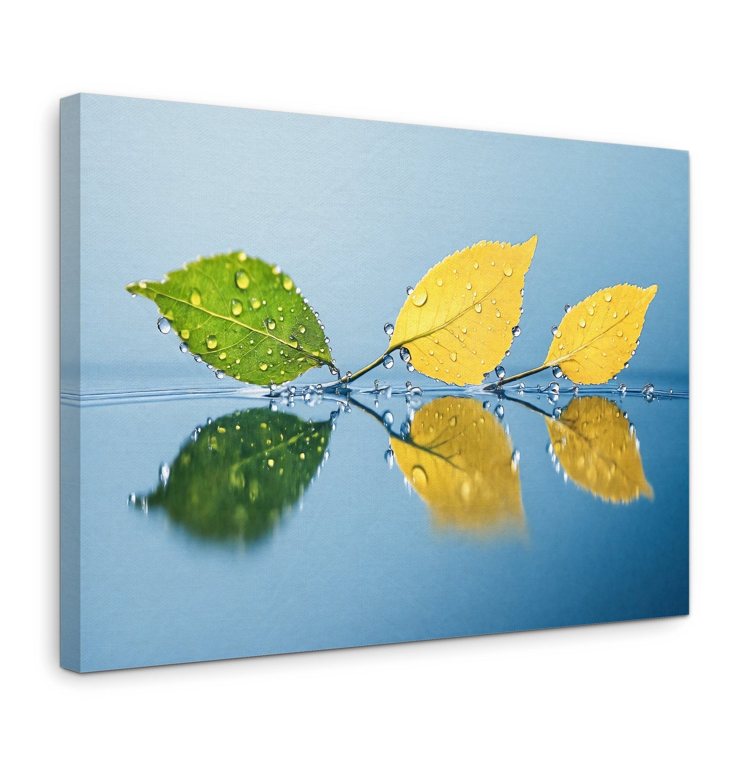 The Surface - Gallery wall set with canvas prints