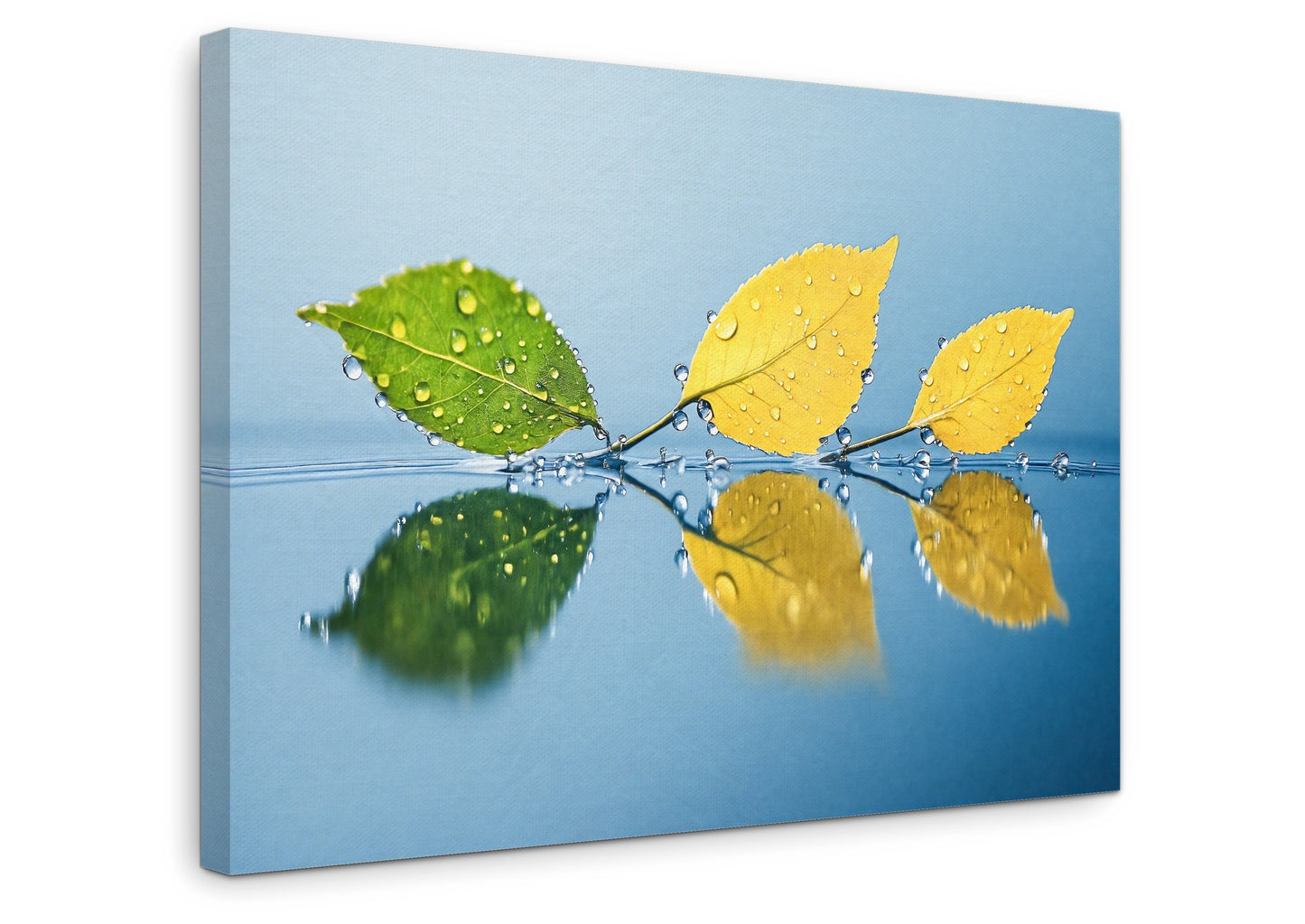 The Surface - Gallery wall set with canvas prints