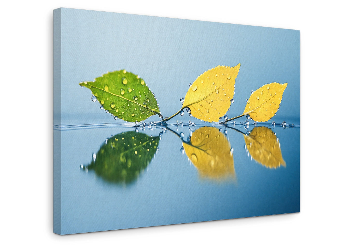 The Surface - Gallery wall set with canvas prints