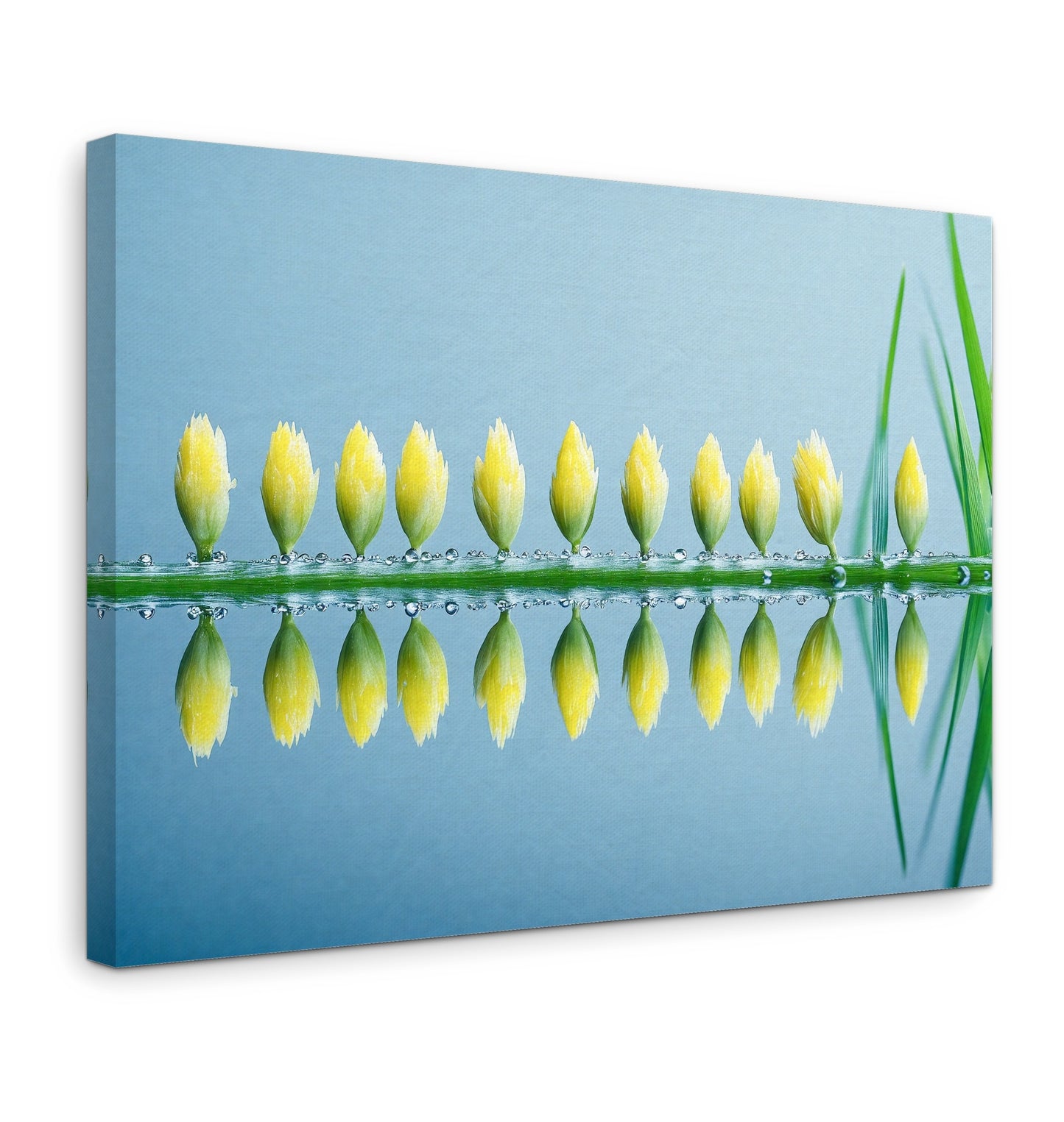The Surface - Gallery wall set with canvas prints