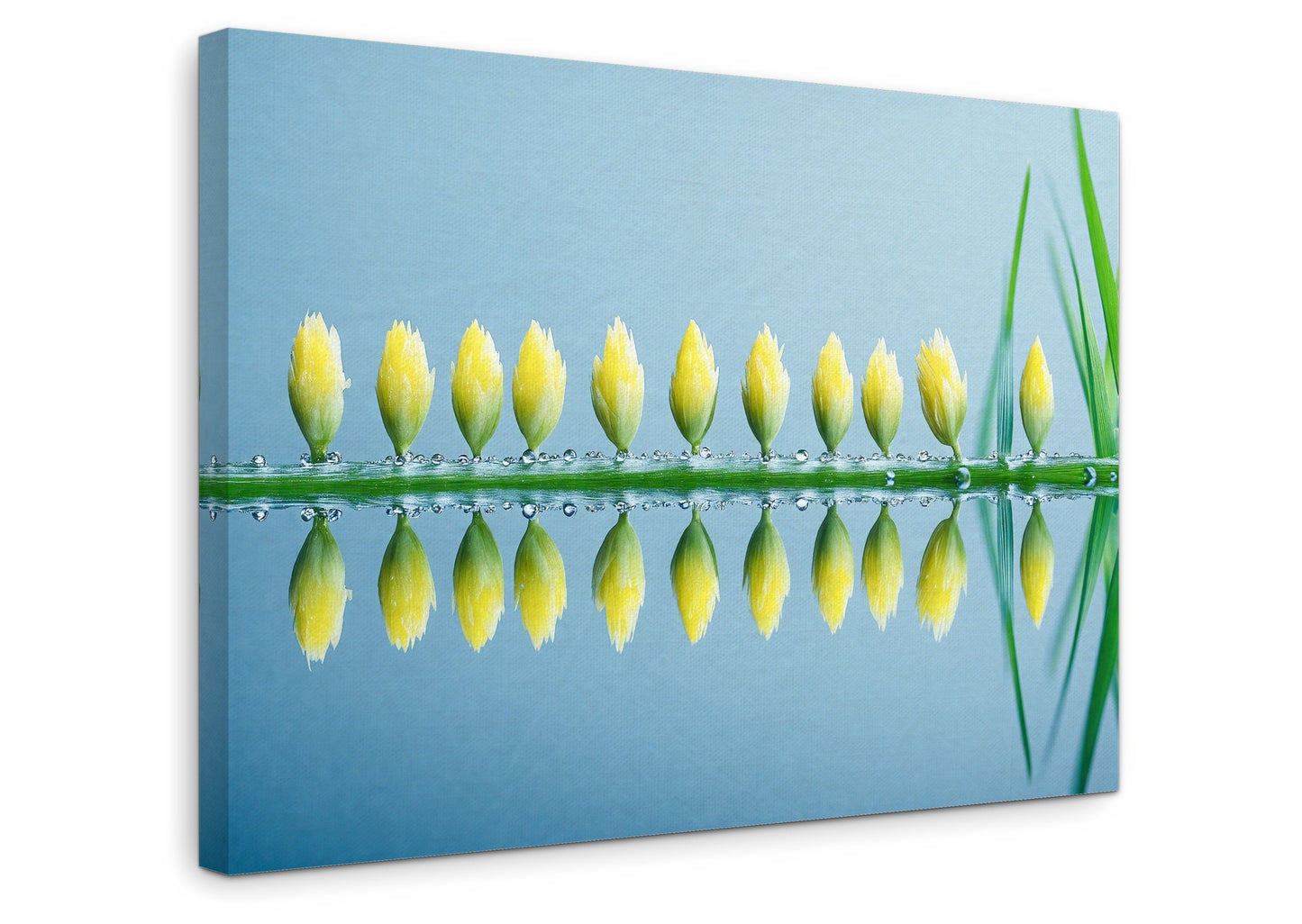 The Surface - Gallery wall set with canvas prints