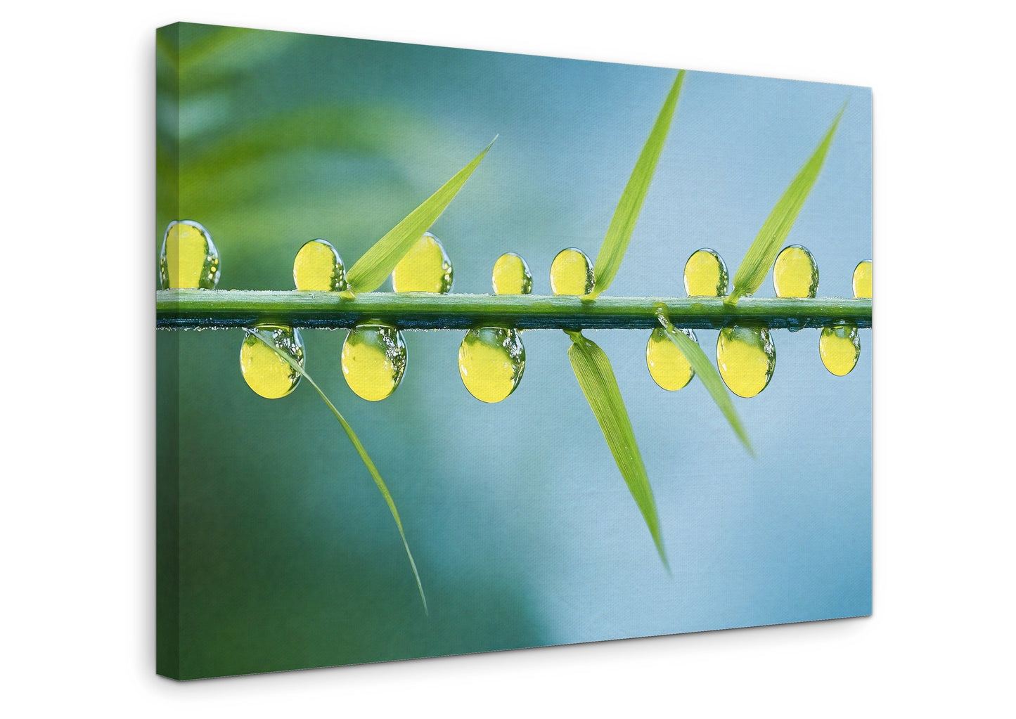 The Surface - Gallery wall set with canvas prints