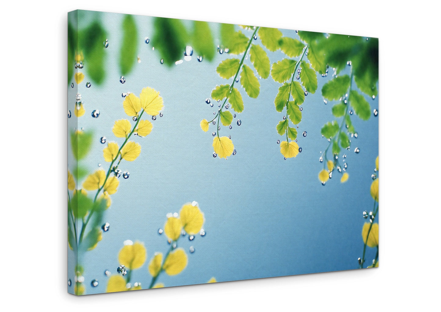 The Surface - Gallery wall set with canvas prints