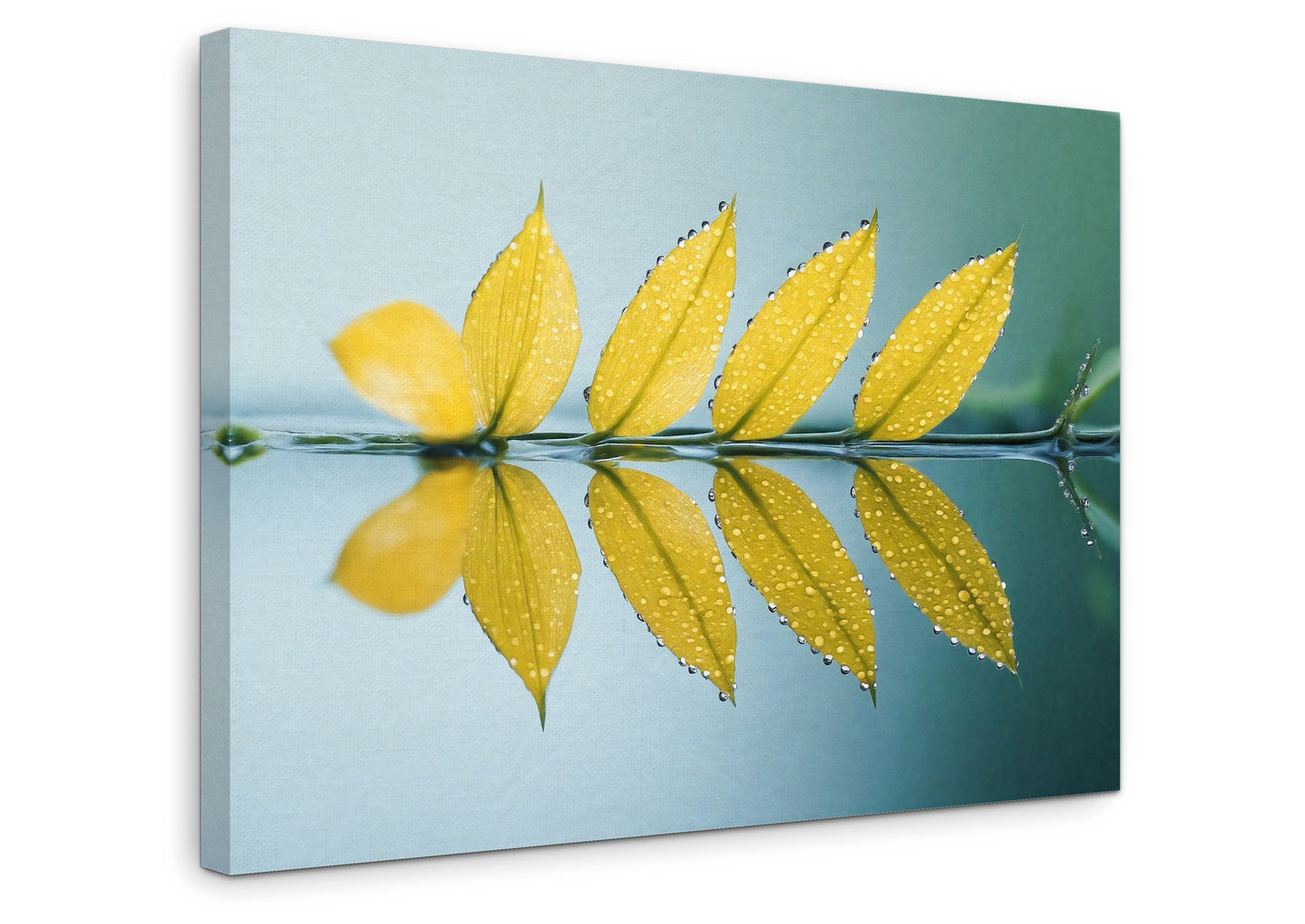The Surface - Gallery wall set with canvas prints