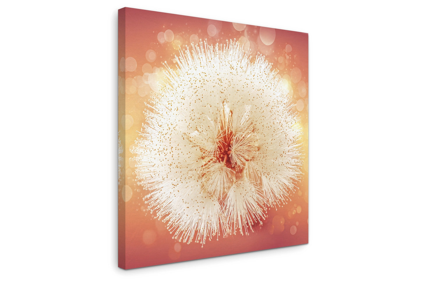 Solstice Bloom - Gallery wall set with canvas prints