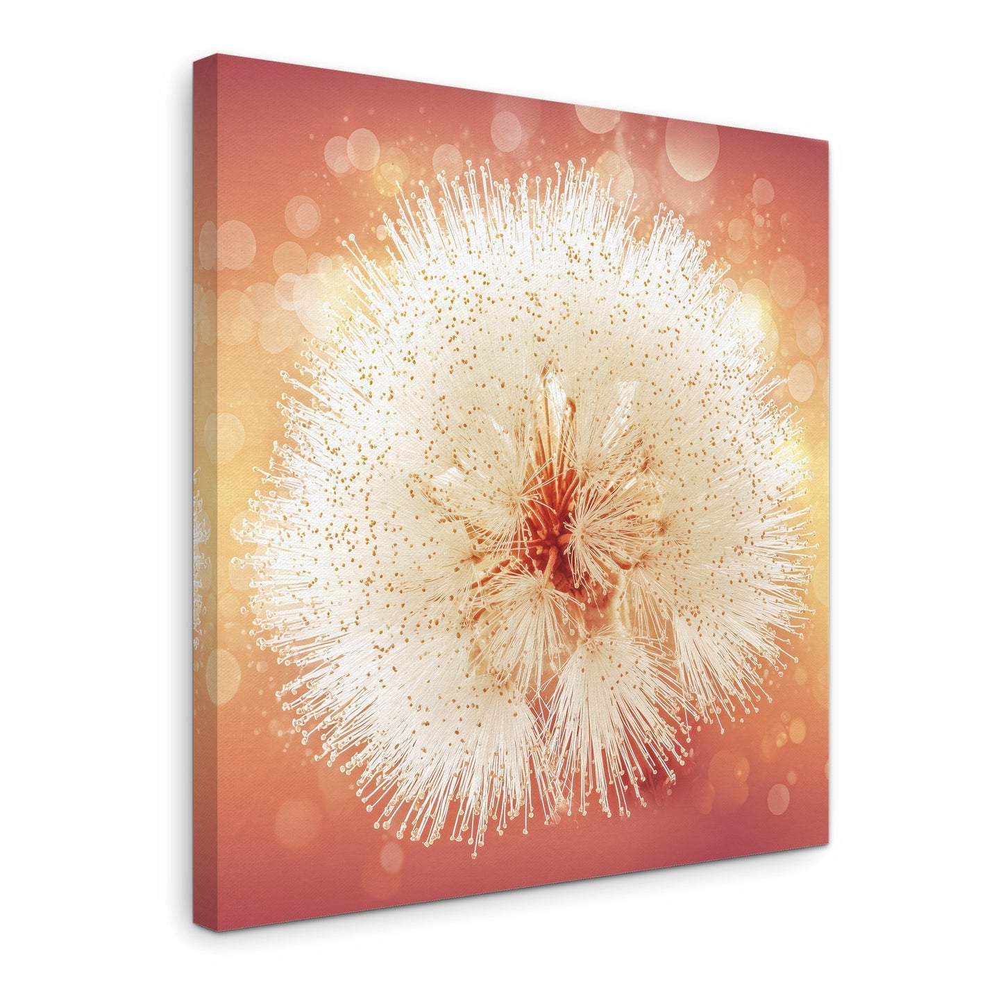 Solstice Bloom - Gallery wall set with canvas prints