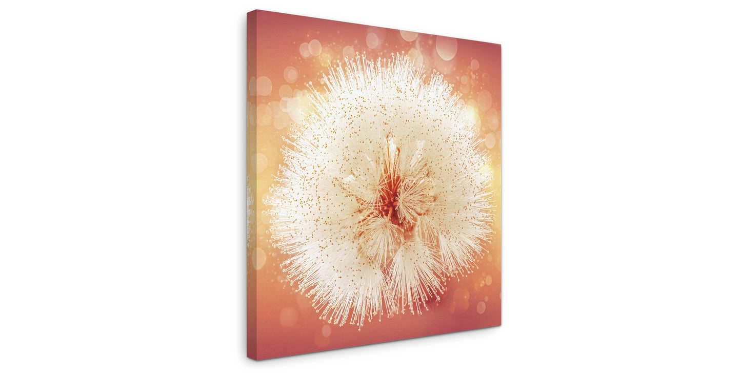Solstice Bloom - Gallery wall set with canvas prints