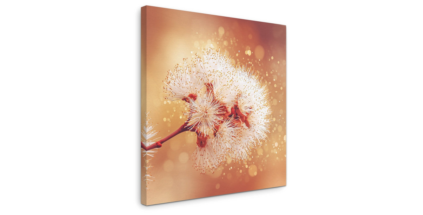 Solstice Bloom - Gallery wall set with canvas prints