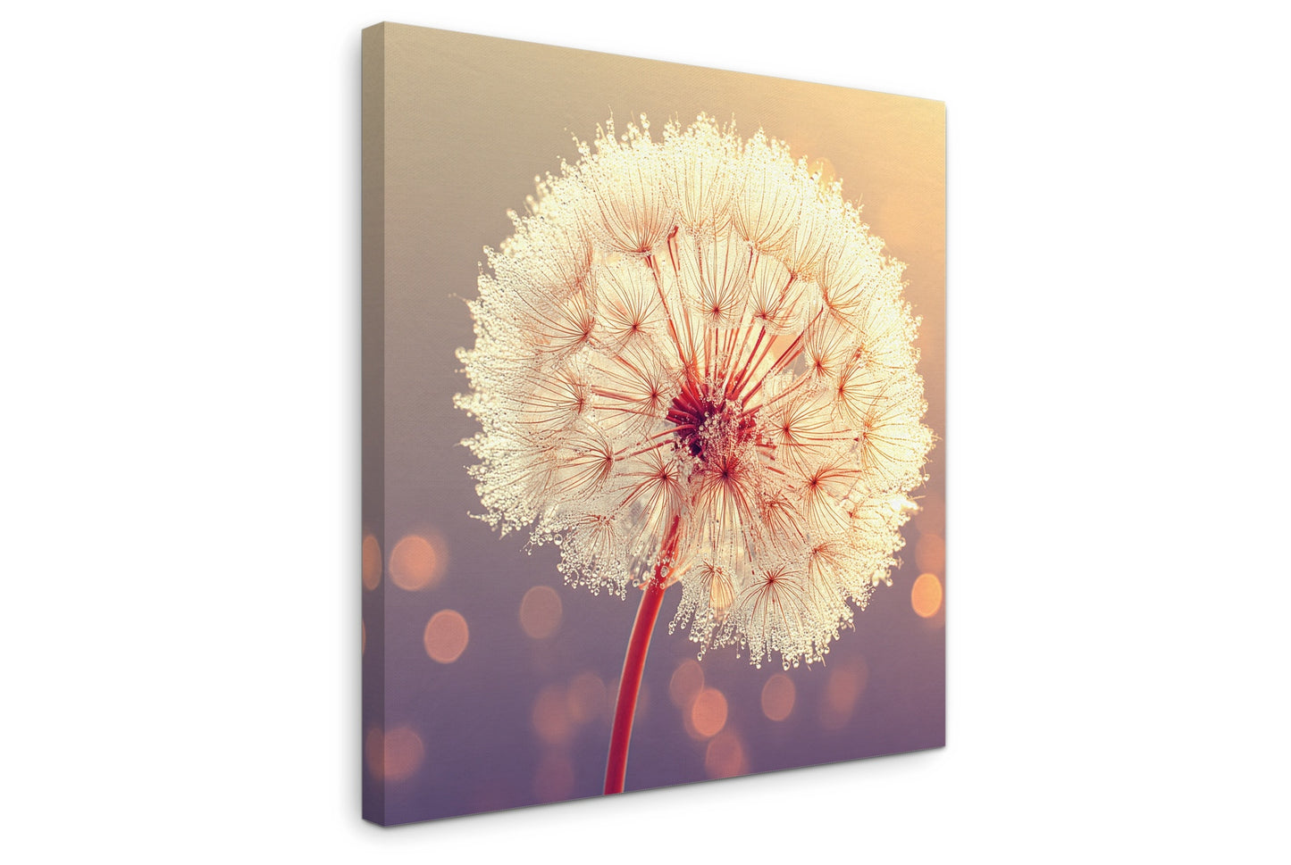Solstice Bloom - Gallery wall set with canvas prints