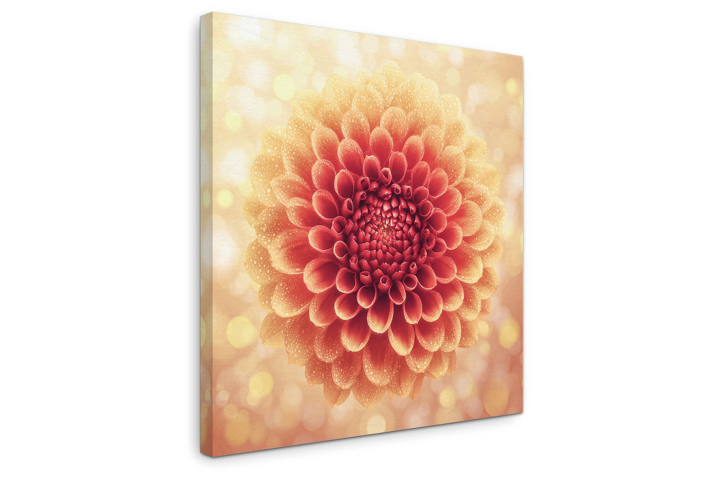 Solstice Bloom - Gallery wall set with canvas prints