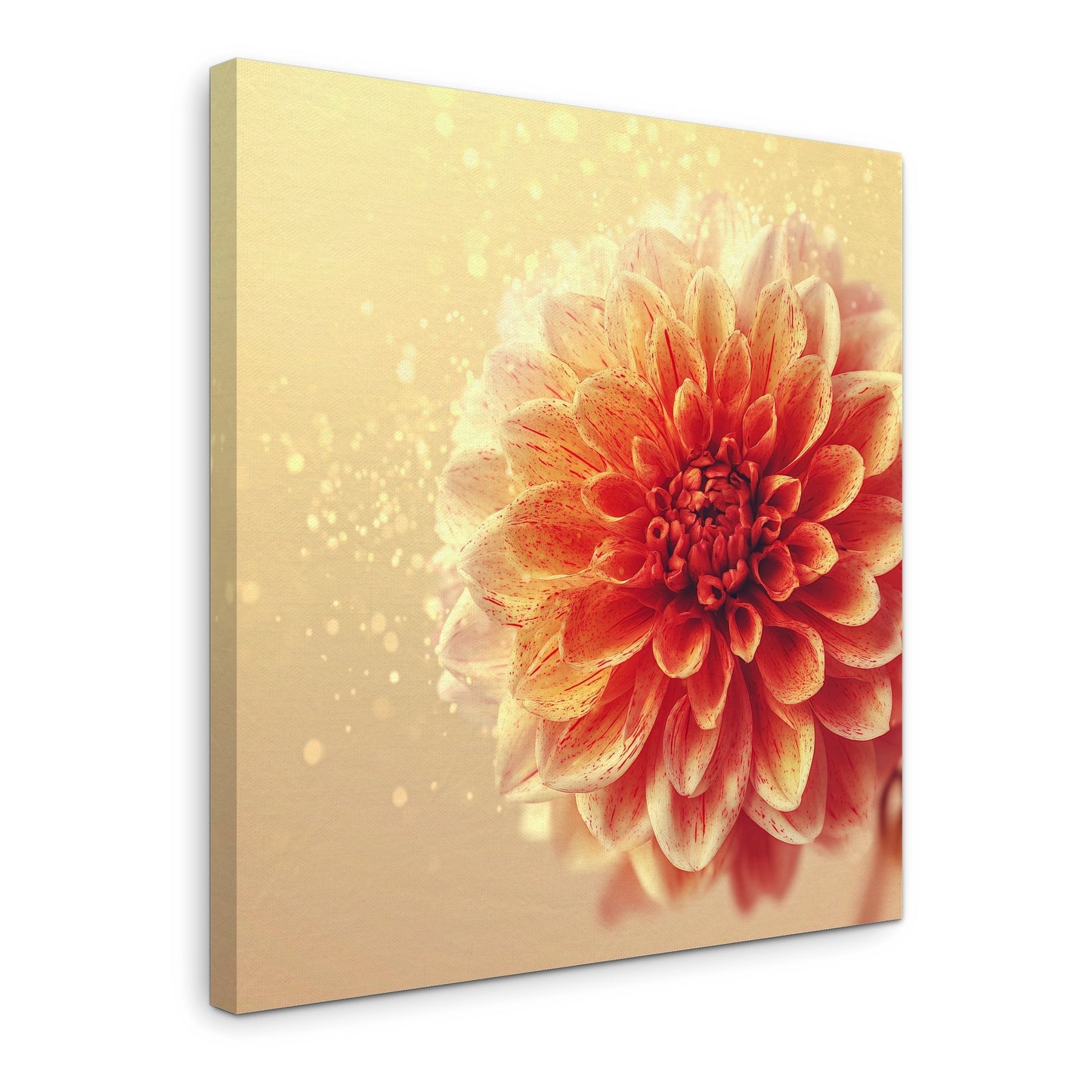 Solstice Bloom - Gallery wall set with canvas prints