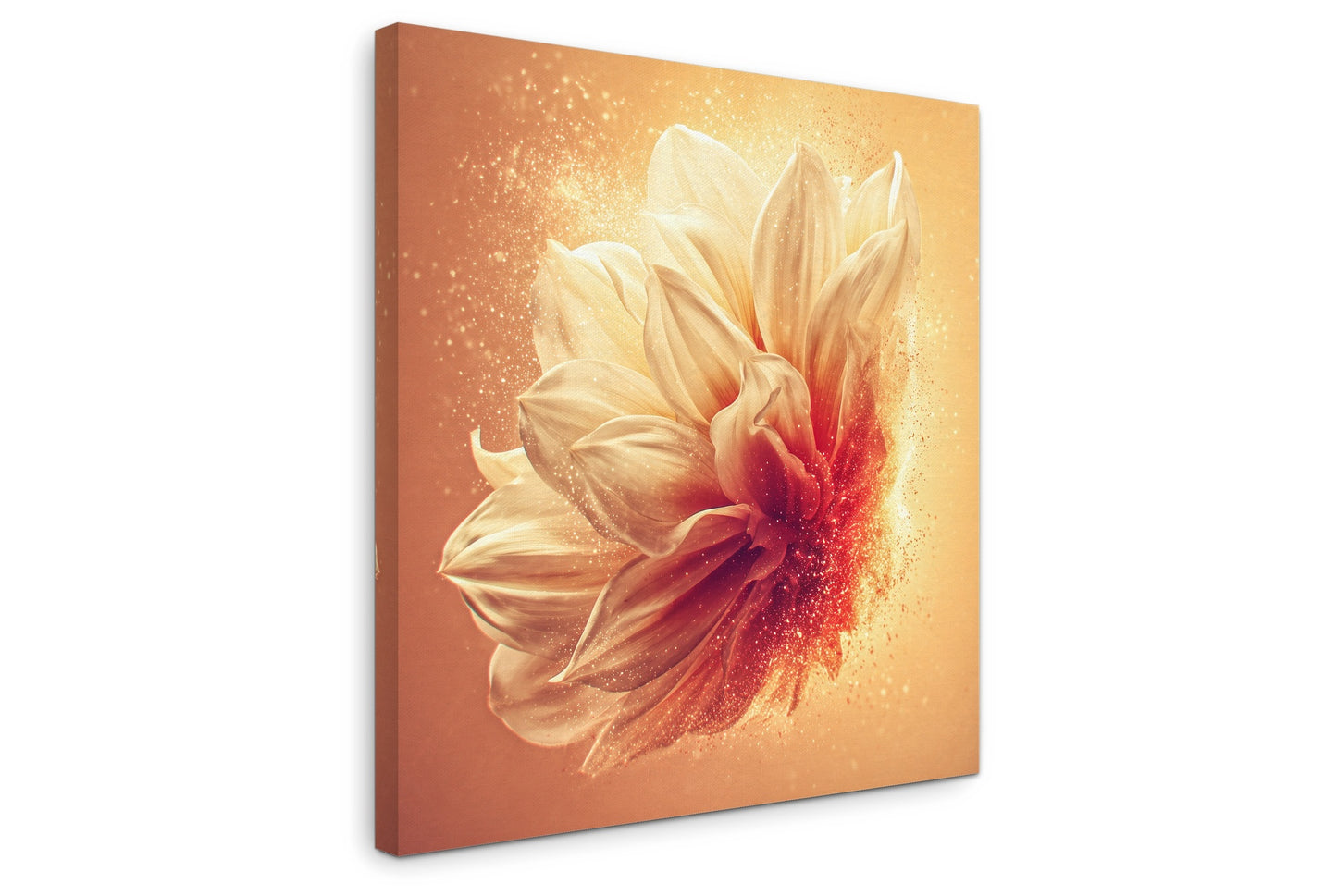Solstice Bloom - Gallery wall set with canvas prints