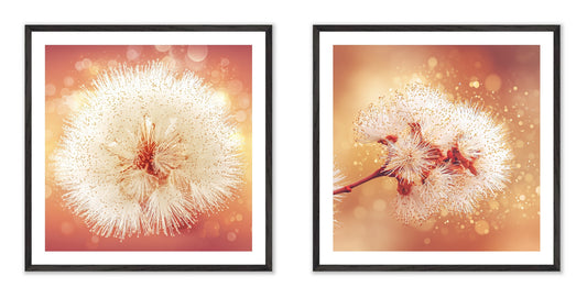 Solstice Bloom - Gallery wall set with art prints in black frame