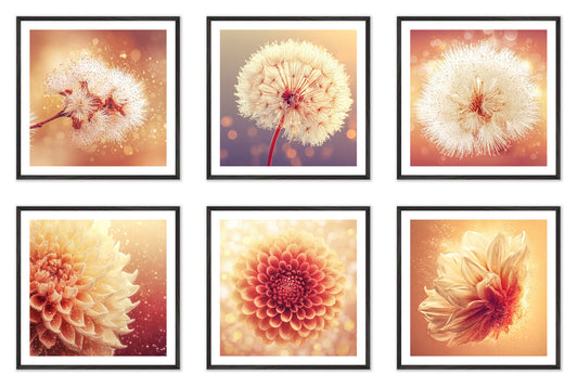 Solstice Bloom - Gallery wall set with art prints in black frame
