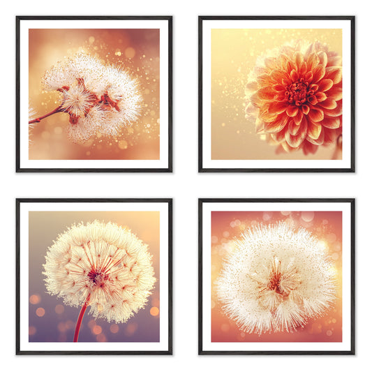 Solstice Bloom - Gallery wall set with art prints in black frame