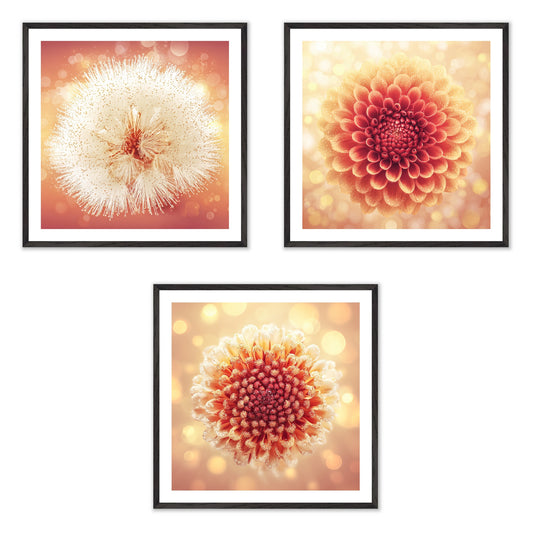 Solstice Bloom - Gallery wall set with art prints in black frame