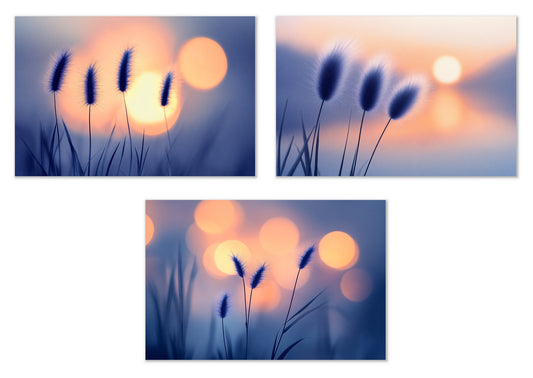 Soft Contours - Gallery wall set with art prints