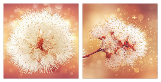 Solstice Bloom - Gallery wall set with art prints