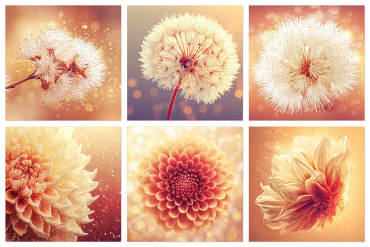 Solstice Bloom - Gallery wall set with art prints