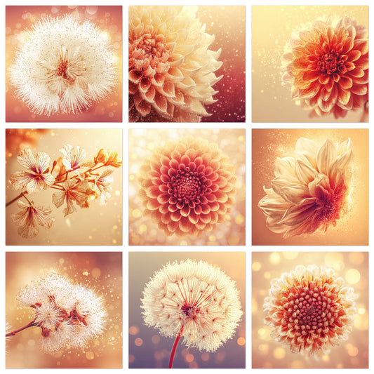 Solstice Bloom - Gallery wall set with art prints