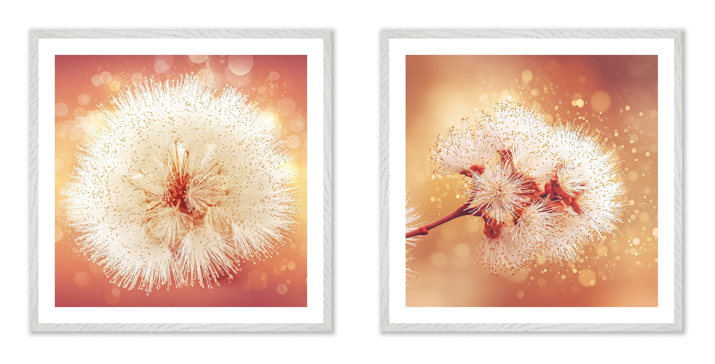 Solstice Bloom - Gallery wall set with art prints in white frame