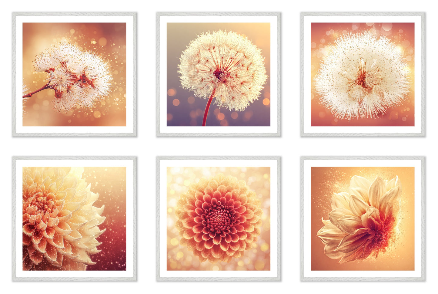 Solstice Bloom - Gallery wall set with art prints in white frame