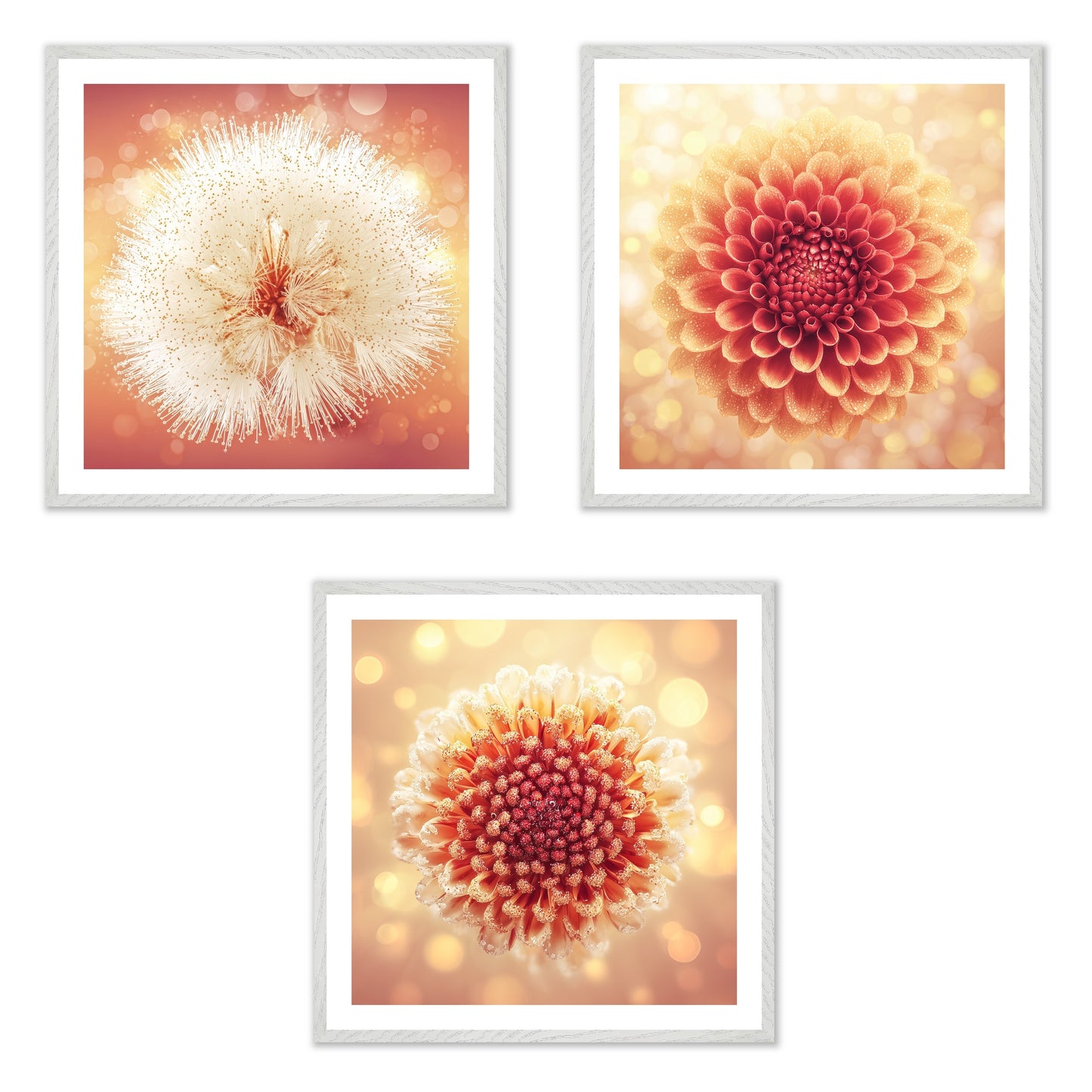 Solstice Bloom - Gallery wall set with art prints in white frame