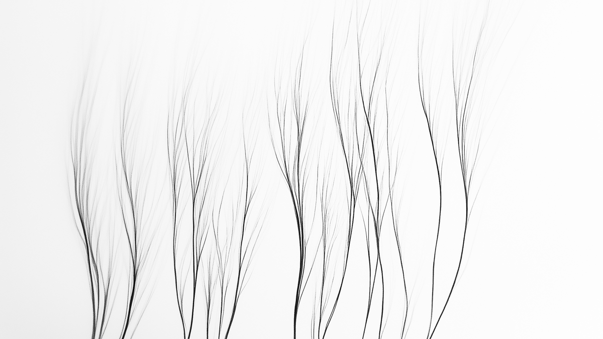 Before Leaves
