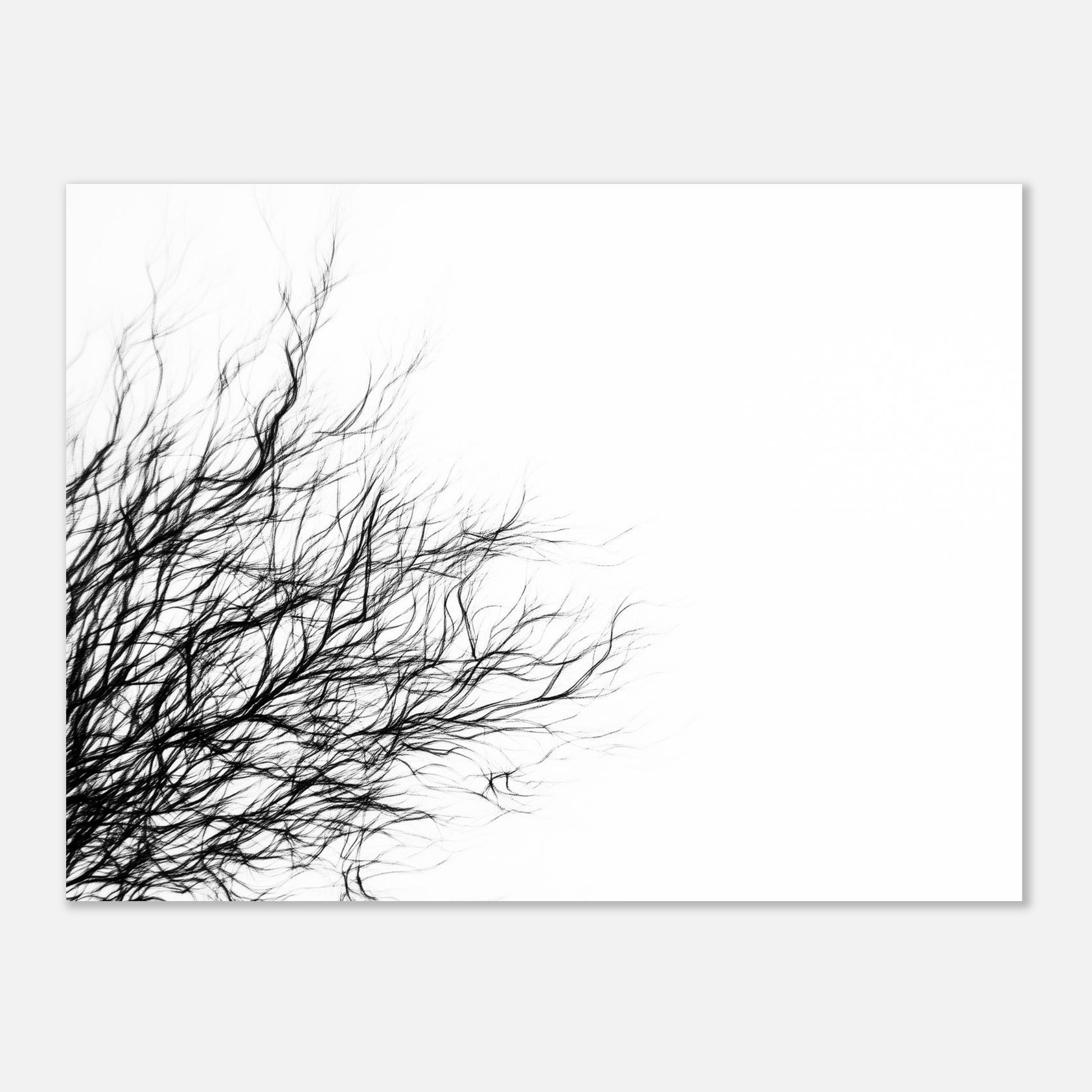 14247-product-4x3-0.jpg