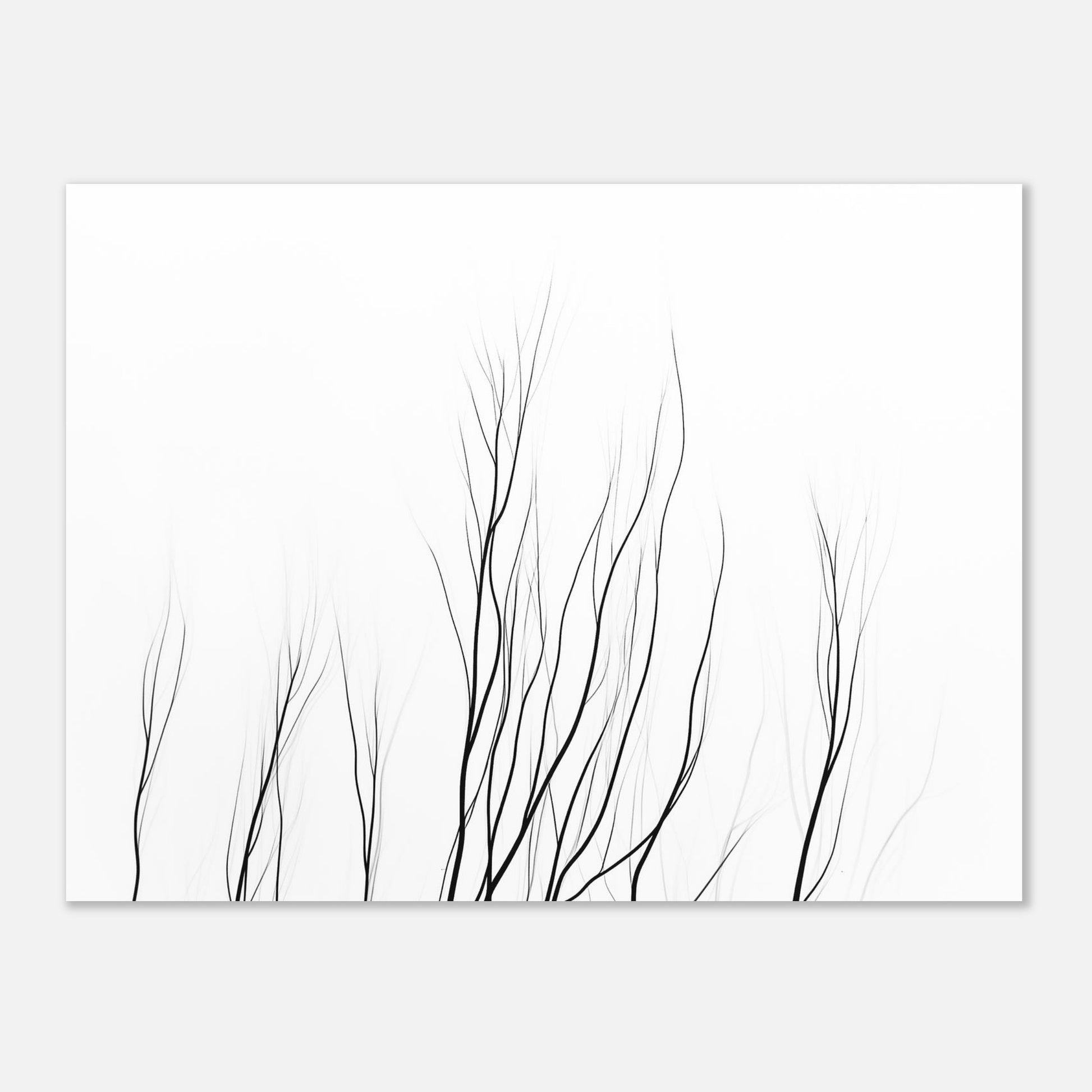 14252-product-4x3-0.jpg
